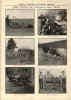 DMC_Sandow_Catalog_017_1913.JPG (168402 bytes)